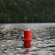 Cylindrical marker buoy - foamed